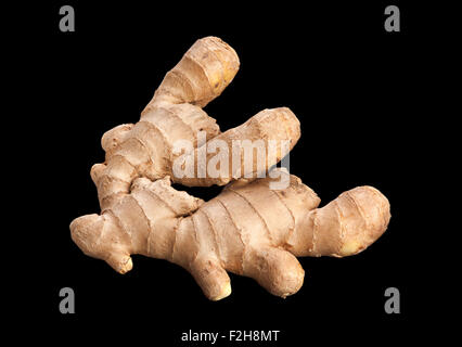 Radice Gringer closeup isolato su nero Foto Stock