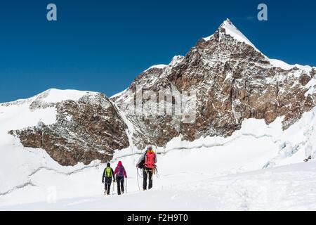 Un gruppo di alpinisti a camminare su un ghiacciaio. Foto Stock