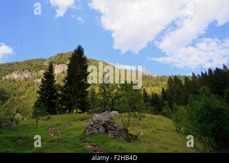 Vista delle Alpi Giulie nella campagna slovena Foto Stock