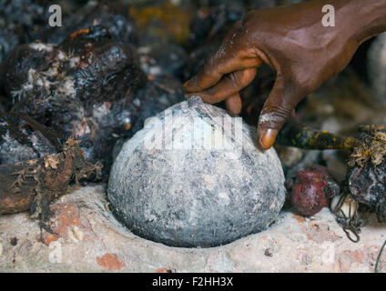 Il Benin, Africa Occidentale, Bonhicon, kagbanon bebe voodoo sacerdote durante una cerimonia Foto Stock