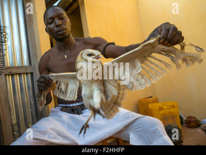 Il Benin, Africa Occidentale, Bonhicon, kagbanon bebe voodoo sacerdote durante una cerimonia con un gufo Foto Stock