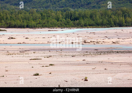 Vista del fiume Tagliamento in Friuli Venezia Giulia, Italia Foto Stock