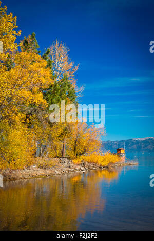 La riflessione di alberi in acqua, Tahoe City Lake Tahoe, CALIFORNIA, STATI UNITI D'AMERICA Foto Stock