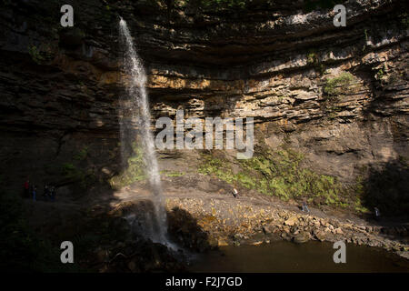 Forza Hardraw è una cascata in un burrone boscoso appena fuori dal villaggio di Hardraw, Wensleydale, North Yorkshire Dales, UK. Foto Stock