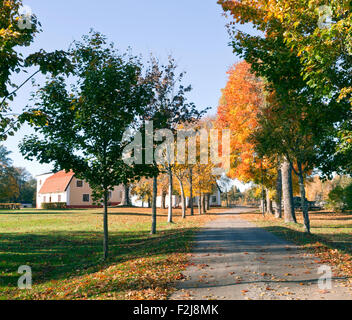 Una ghiaia, strada sterrata porta in un parco giardino. Gli edifici in background. Alberi colorati, prato su entrambi i lati del marciapiede. Foto Stock