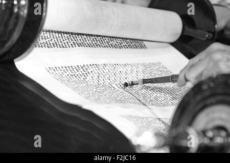 La lettura della Torah scrolls Foto Stock