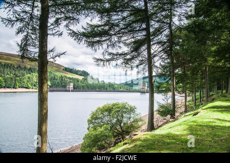 Guardando le torri serbatoio Derwent Derbyshire nella foresta di pini su rurale Questo Peak District Derbyshire Ray Boswell Foto Stock