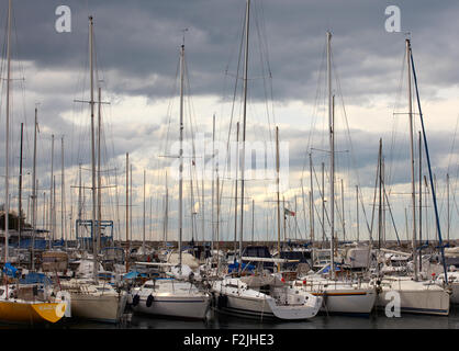 Un sacco di barche, a Grignano pier Foto Stock