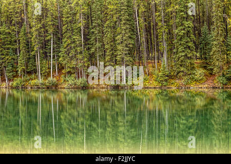 Tree riflessioni sul lago Johnson, il Parco Nazionale di Banff, montagne rocciose, Alberta, Canada, America del Nord. Foto Stock