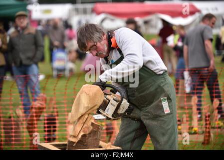 Poco Hayfield Derbyshire Regno Unito xx settembre 2015 la manifestazione di un intagliatore di legno gioco luogo in occasione dell'annuale Hayfield Paese mostrano . Hayfield Paese mostrano Derbyshire UK Credit: Giovanni friggitrice/Alamy Live News Foto Stock