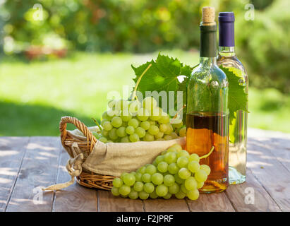 Vino bianco bottiglie, vigna e del grappolo di uva per esterno Foto Stock