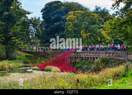 "Papaveri: Onda', dall'installazione " sangue spazzata di terre e mari di rosso' , Yorkshire Sculpture Park, Wakefield, Yorkshire, Regno Unito Foto Stock