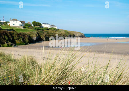 Porthcothan bay in North Cornwall, England, Regno Unito Foto Stock