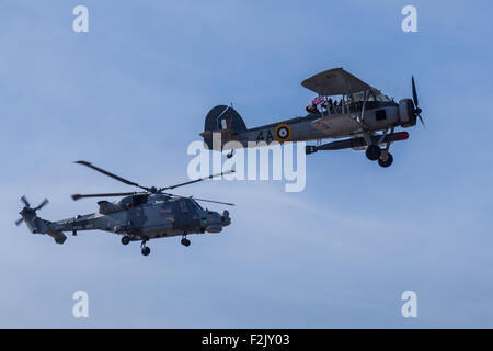 Royal Navy Pesce spada con un elicottero Wildcat Foto Stock