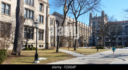 Sul campus della University of Chicago in Hyde Park, Chicago, IL, Stati Uniti d'America. Foto Stock