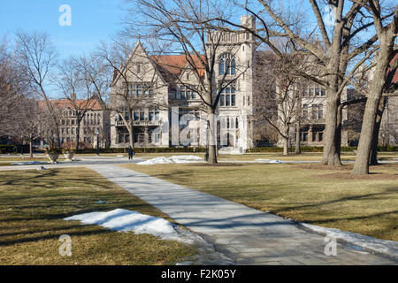 Sul campus della University of Chicago in Hyde Park, Chicago, IL, Stati Uniti d'America. Foto Stock