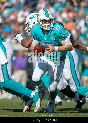 Il Jacksonville, FL, Stati Uniti d'America. Xx Settembre, 2015. Miami Dolphins quarterback Ryan Tannehill (17) durante la prima metà di NFL di azione di gioco fra i delfini di Miami e Jacksonville Jaguars al campo EverBank a Jacksonville, Fl. Romeo T Guzman/CSM. Credito: csm/Alamy Live News Foto Stock