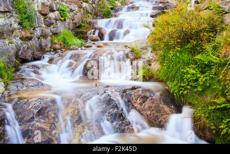 Vista del torrente in Arzo campagna, Verbania. Italia Foto Stock