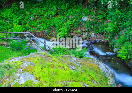 Vista del torrente in Arzo campagna, Verbania. Italia Foto Stock
