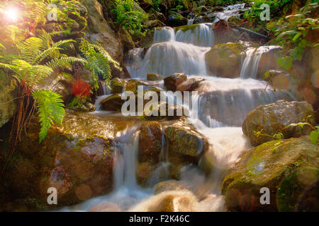 Vista del torrente in Arzo campagna, Verbania. Italia Foto Stock