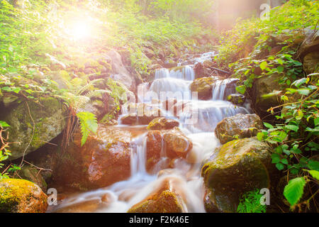 Vista del torrente in Arzo campagna, Verbania. Italia Foto Stock