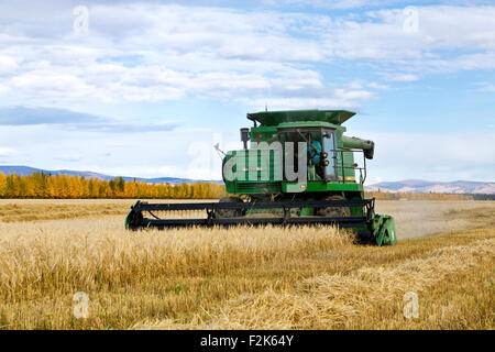 Agricoltore operante il John Deere 7720 combinare la raccolta di orzo maturo campo. Area varietà. Foto Stock