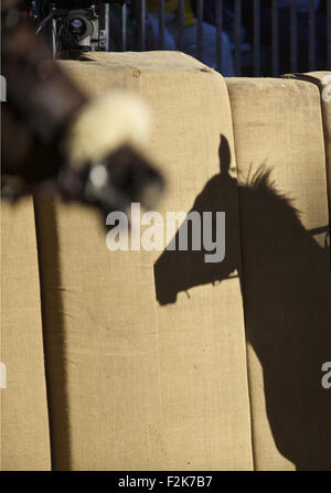 Asti, Italia. Xx Settembre, 2015. L'ombra di un cavallo è visto su una scheda prima della corsa del Palio di Asti a Asti, Italia, il 7 settembre 20, 2015. Il Palio di Asti è un tradizionale festival italiano di origine medievale che culmina in un bareback cavallo di razza, e anche il più antico registrati bareback cavallo di razza in Italia. La gara è stato eseguito ogni anno a partire dal XIII secolo con la prima gara registrato avendo luogo in 1275. Il concorso di antica vede 21 cavalli purosangue competere in rappresentanza di 13 diversi quartieri della città. © Jin Yu/Xinhua/Alamy Live News Foto Stock