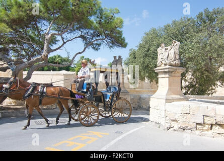 Cavallo e Carrozza squadre in attesa fuori mura della città vecchia Foto Stock