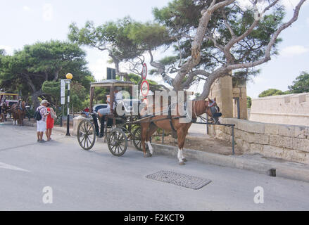 Cavallo e Carrozza squadre in attesa fuori mura della città vecchia Foto Stock