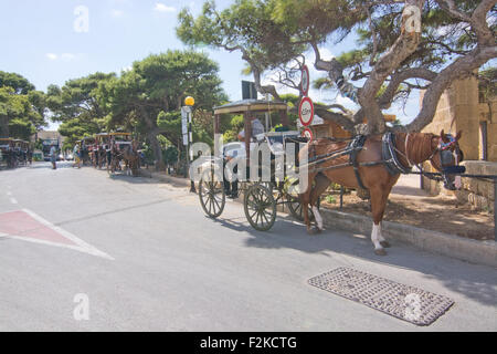 Cavallo e Carrozza squadre in attesa fuori mura della città vecchia Foto Stock