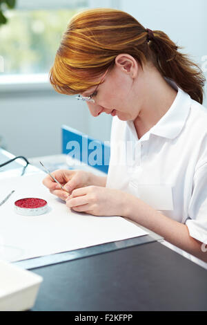 Odontotecnico lavorando su di un tappo di un dente Foto Stock