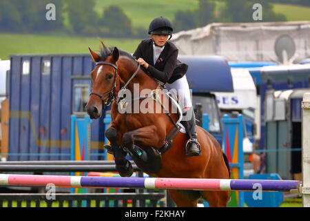 Horse Jumping a Henley Show, Henley-on-Thames, Regno Unito, 12/9/2015 Foto Stock