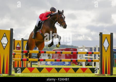 Horse Jumping a Henley Show, Henley-on-Thames, Regno Unito, 12/9/2015 Foto Stock