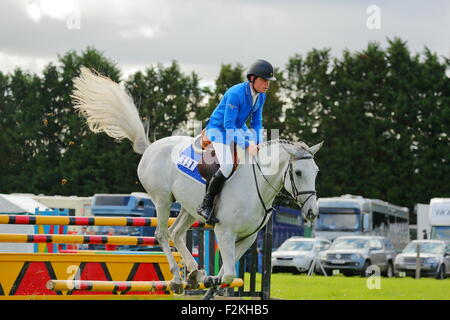 Horse Jumping a Henley Show, Henley-on-Thames, Regno Unito, 12/9/2015 Foto Stock