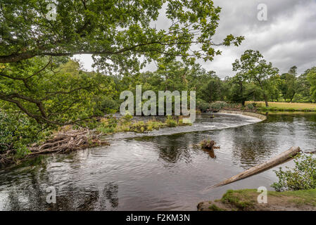 Il ferro di cavallo cade sul fiume Dee a Llangollen. Denbighshire North Wales. Costruito da Thomas Telford. Foto Stock