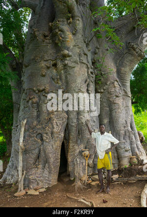 Il Togo, Africa Occidentale, Nadoba, tamberma somba tribe uomo in piedi di fronte a un vecchio baobab dove la gente viveva all'interno del fusto vuoto lungo tempo fa Foto Stock