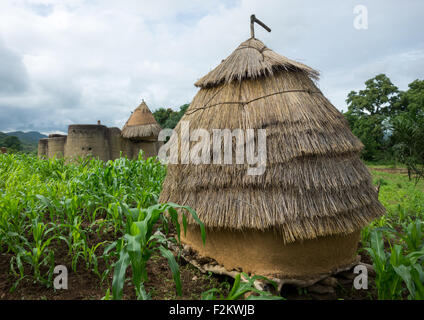 Il Togo, Africa Occidentale, Nadoba, tradizionale Tata Somba case con tetti di paglia e i granai Foto Stock