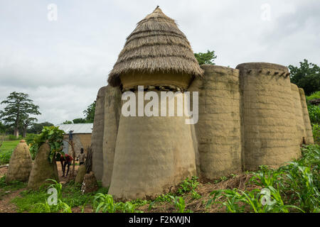 Il Togo, Africa Occidentale, Nadoba, tradizionale Tata Somba case con tetti di paglia e i granai Foto Stock