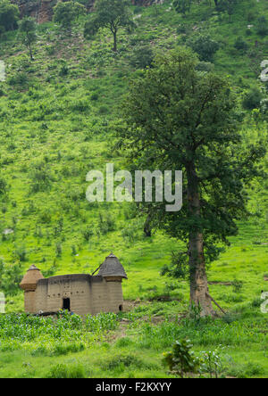 Il Togo, Africa Occidentale, Nadoba, tradizionale Tata Somba case con tetti di paglia e i granai Foto Stock