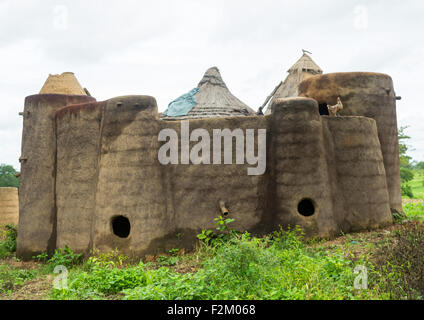 Il Togo, Africa Occidentale, Nadoba, tradizionale Tata Somba house con tetti di paglia e i granai Foto Stock