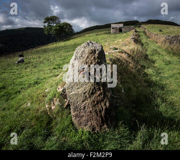 Vista su terreni agricoli di Exmoor Foto Stock