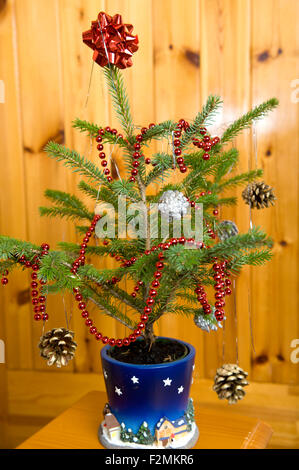 Un piccolo pino piantato in una pentola di festosa e decorate in preparazione per essere utilizzato come il piano di un tavolo o di decorazione centrotavola Foto Stock