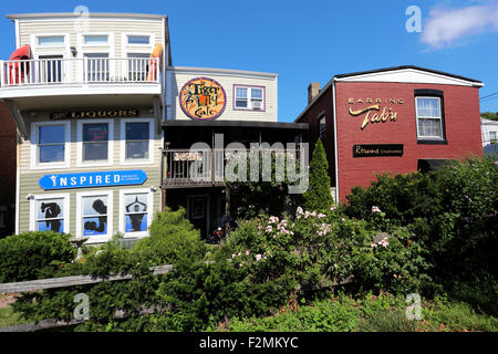 Villaggio di Porto Porto Jefferson Long Island New York Foto Stock