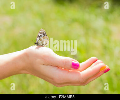 Farfalla di prendere un periodo di riposo di una persona. Foto Stock