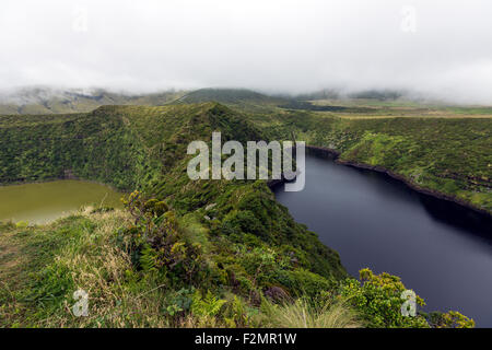 Caideira Negra e Caldeira Comprida nella Reserva Florestal Natural fare Morro Alto e Pico da Se,sull isola di Flores, Azzorre Foto Stock