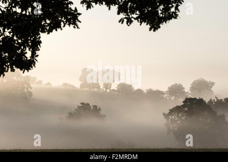Alba sopra la campagna inglese, England, Regno Unito Foto Stock