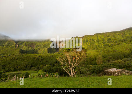 Le scogliere di montagna con cascate flusso sopra il bordo vicino Fajazinha, sull isola di Flores, Azzorre, Portogallo Foto Stock