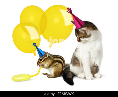 Concetto di compleanno, funny cat e Scoiattolo striado con palloncini su bianco Foto Stock