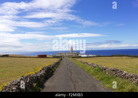 Strada per il faro di Ponta do Albernaz, sull isola di Flores, Azzorre Foto Stock