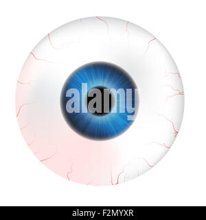 Immagine di realistico occhio umano a sfera colorata con la pupilla, l'iride. Illustrazione di vettore isolato su sfondo bianco. Foto Stock